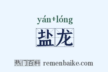 盐龙是什么意思的图片
